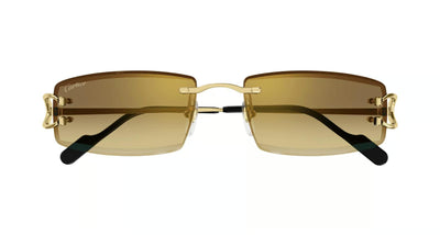 Cartier CT 0465S-Eyeglasses-Topline Eyewear