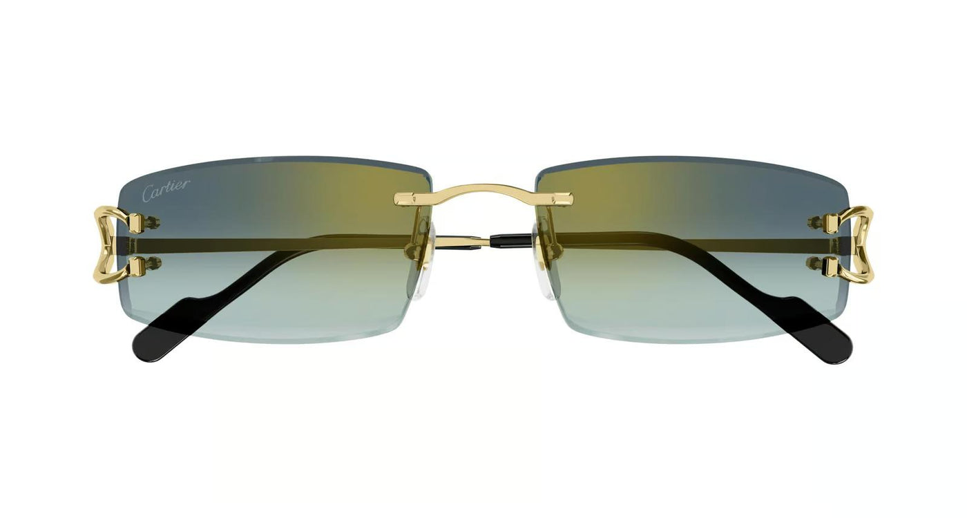 Cartier CT 0465S-Eyeglasses-Topline Eyewear