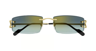 Cartier CT 0465S-Eyeglasses-Topline Eyewear