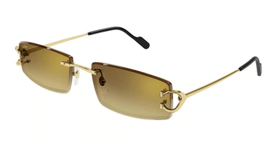 Cartier CT 0465S-Eyeglasses-Topline Eyewear