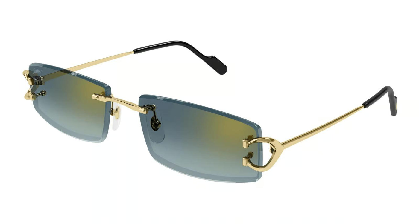 Cartier CT 0465S-Eyeglasses-Topline Eyewear
