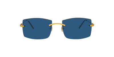 Cartier CT0005RS-Sunglasses-Topline Eyewear
