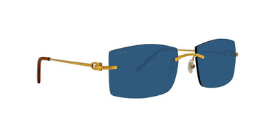 Cartier CT0005RS-Sunglasses-Topline Eyewear