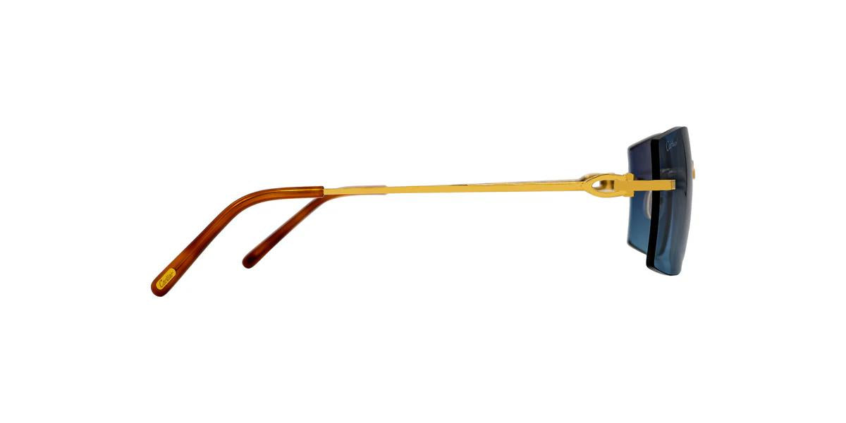 Cartier CT0005RS-Sunglasses-Topline Eyewear