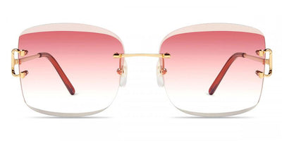 Cartier CT0007RS-Sunglasses-