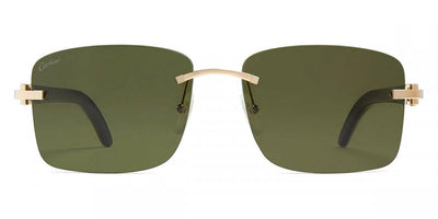 Cartier CT0030RS-Sunglasses-Topline Eyewear