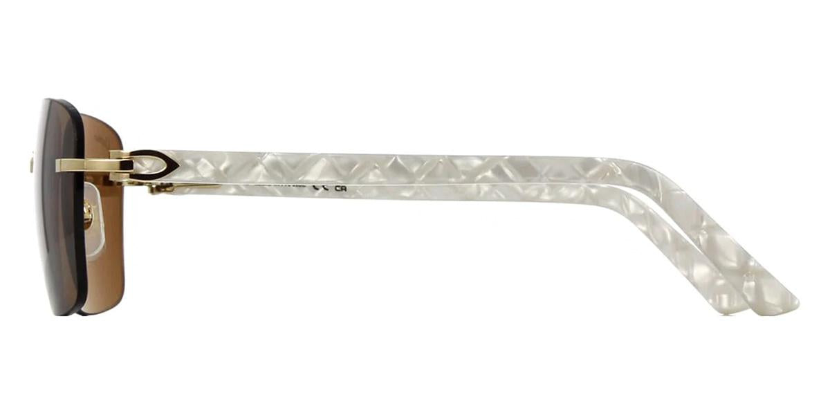 Cartier CT0034RS-Sunglasses-Topline Eyewear