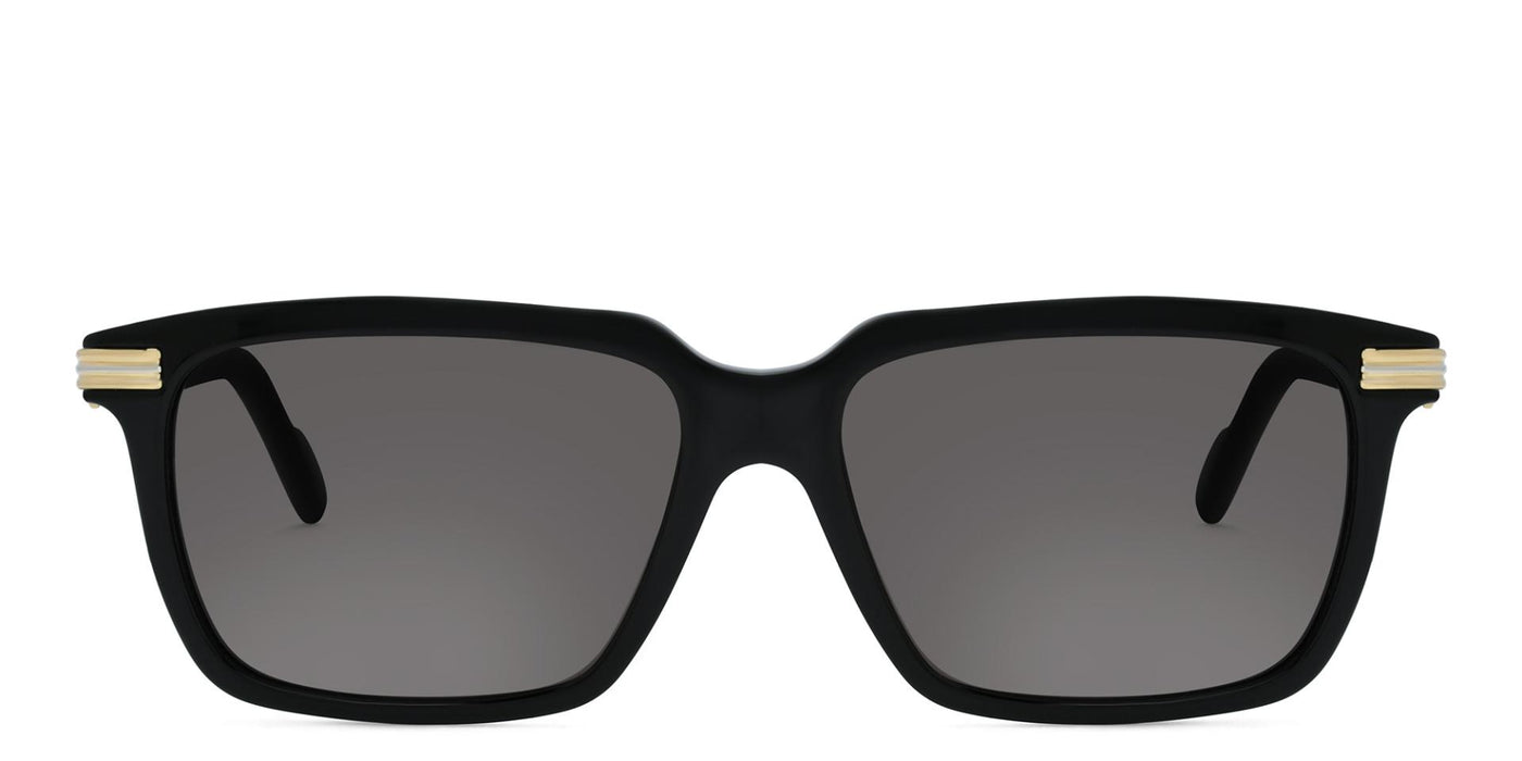 Cartier CT0220S-Sunglasses-Topline Eyewear