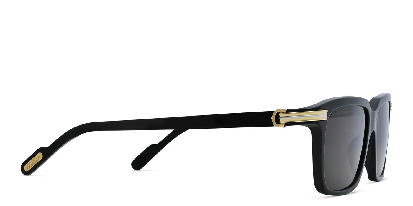 Cartier CT0220S-Sunglasses-Topline Eyewear