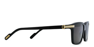 Cartier CT0220S-Sunglasses-Topline Eyewear
