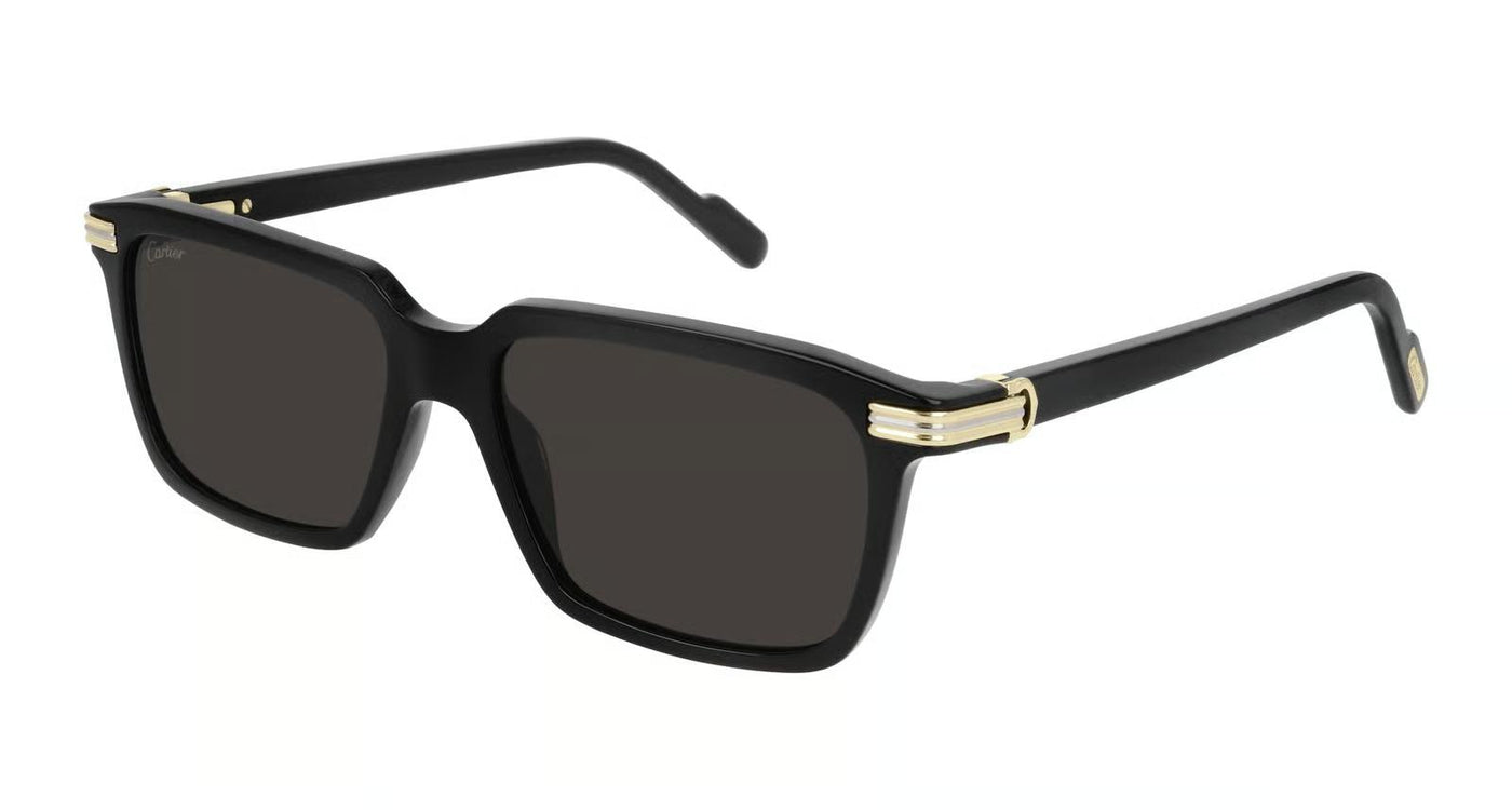 Cartier CT0220S-Sunglasses-Topline Eyewear