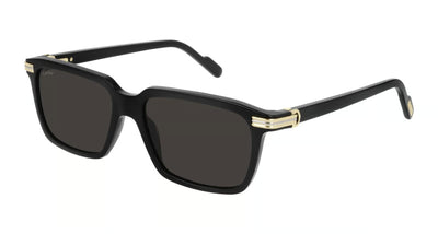 Cartier CT0220S-Sunglasses-Topline Eyewear