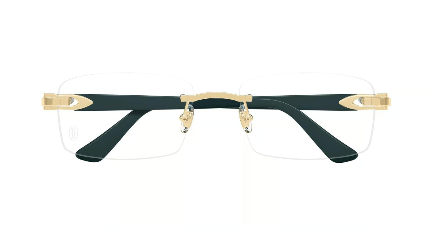 Cartier CT0287O-Eyeglasses-Topline Eyewear