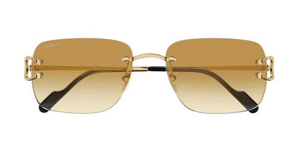Cartier CT0330S-Sunglasses-Topline Eyewear