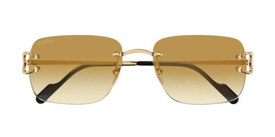 Cartier CT0330S-Sunglasses-Topline Eyewear
