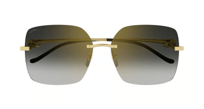 Cartier CT0359S-Sunglasses-Topline Eyewear