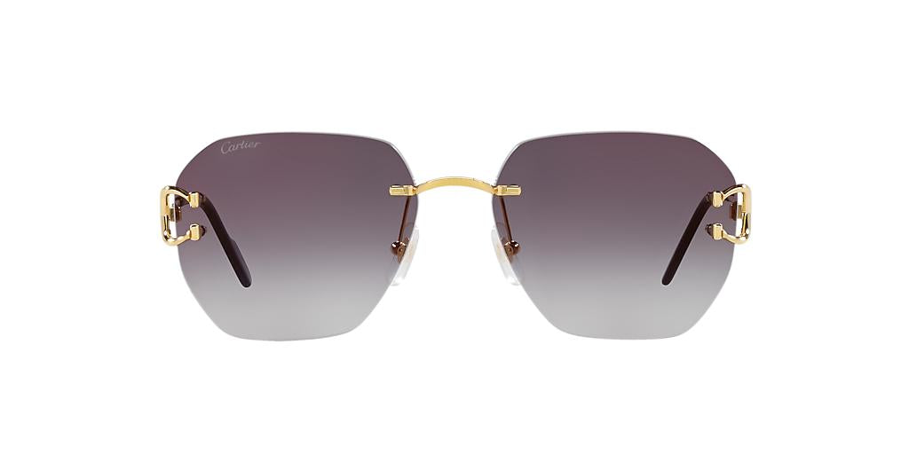 Cartier CT0394S-Sunglasses-Topline Eyewear