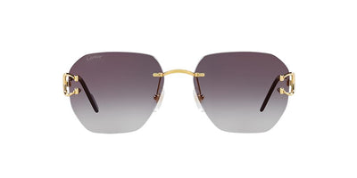 Cartier CT0394S-Sunglasses-Topline Eyewear