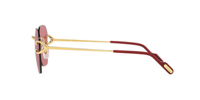 Cartier CT0394S-Sunglasses-Topline Eyewear