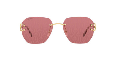 Cartier CT0394S-Sunglasses-Topline Eyewear