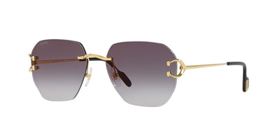 Cartier CT0394S-Sunglasses-Topline Eyewear