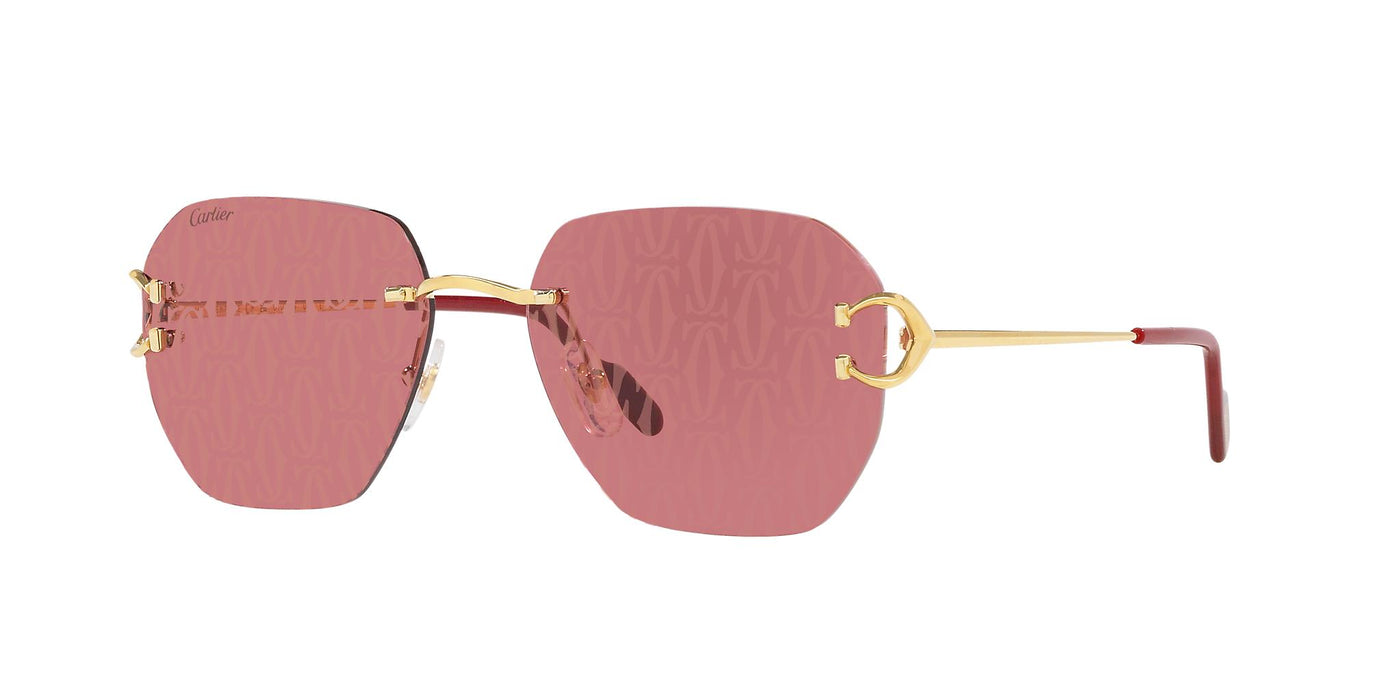 Cartier CT0394S-Sunglasses-Topline Eyewear