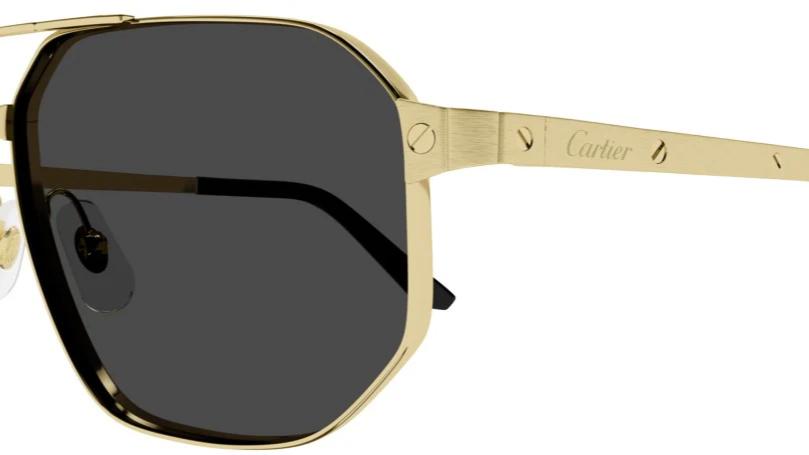 Cartier CT0462S-Sunglasses-