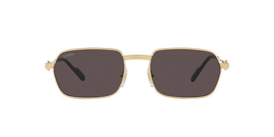 Cartier CT0463S-Sunglasses-