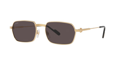 Cartier CT0463S-Sunglasses-Gold-Grey-