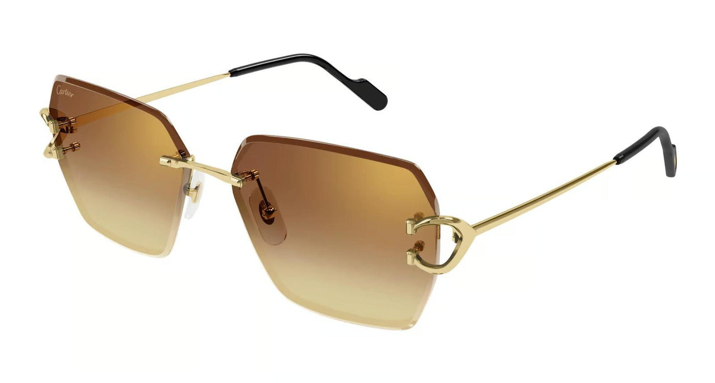 Cartier CT0466S-Sunglasses-