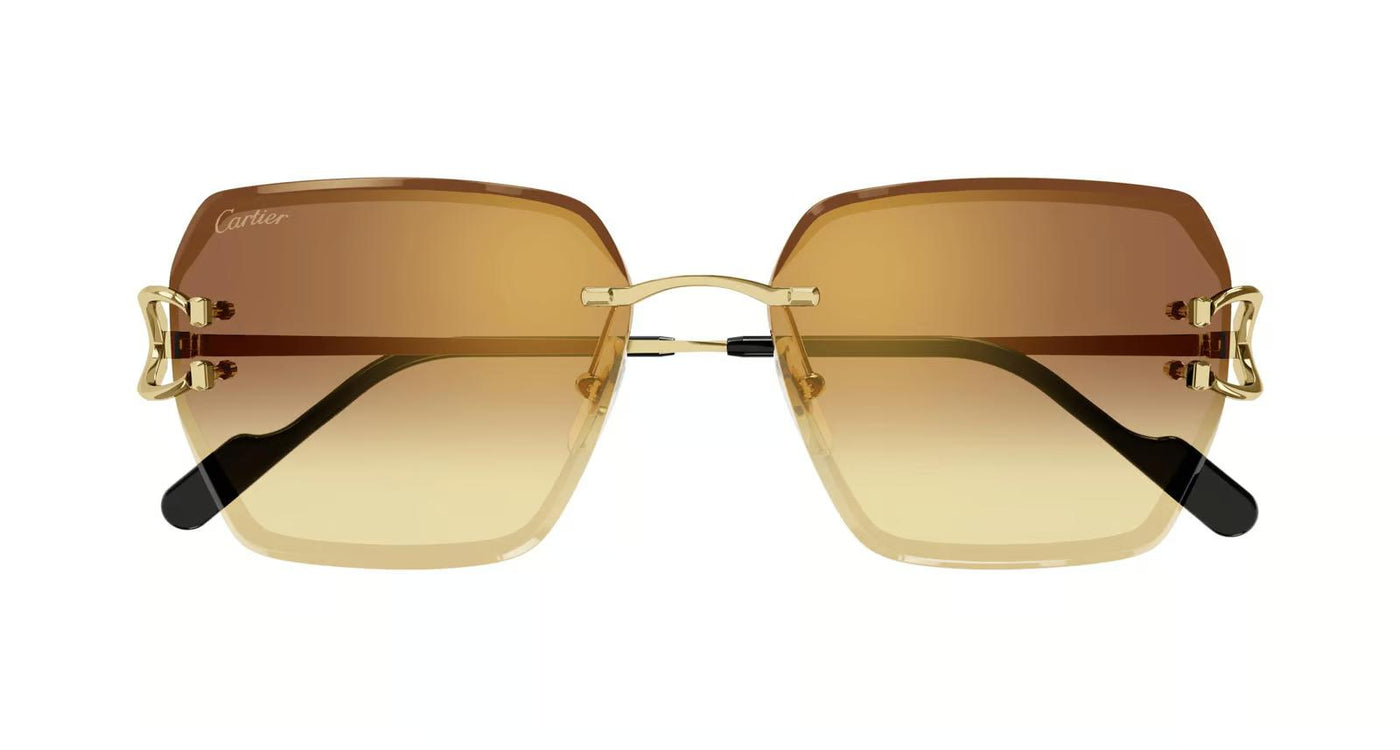 Cartier CT0466S-Sunglasses-