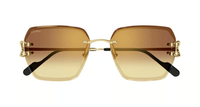 Cartier CT0466S-Sunglasses-
