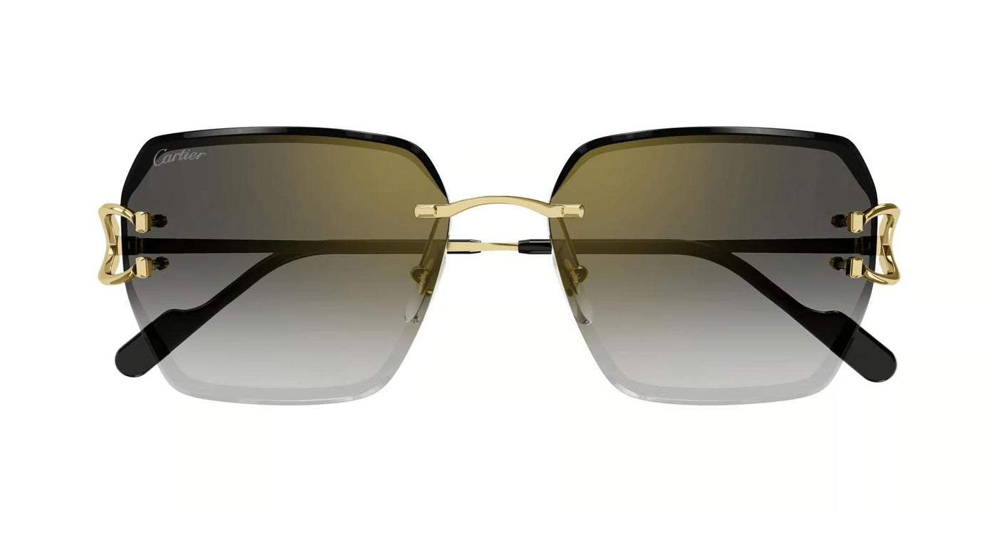 Cartier CT0466S-Sunglasses-