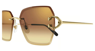 Cartier CT0466S-Sunglasses-Topline Eyewear