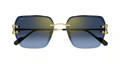 Cartier CT0466S-Sunglasses-Topline Eyewear