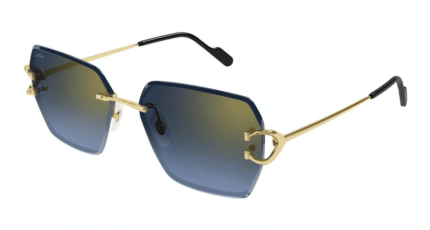Cartier CT0466S-Sunglasses-Topline Eyewear