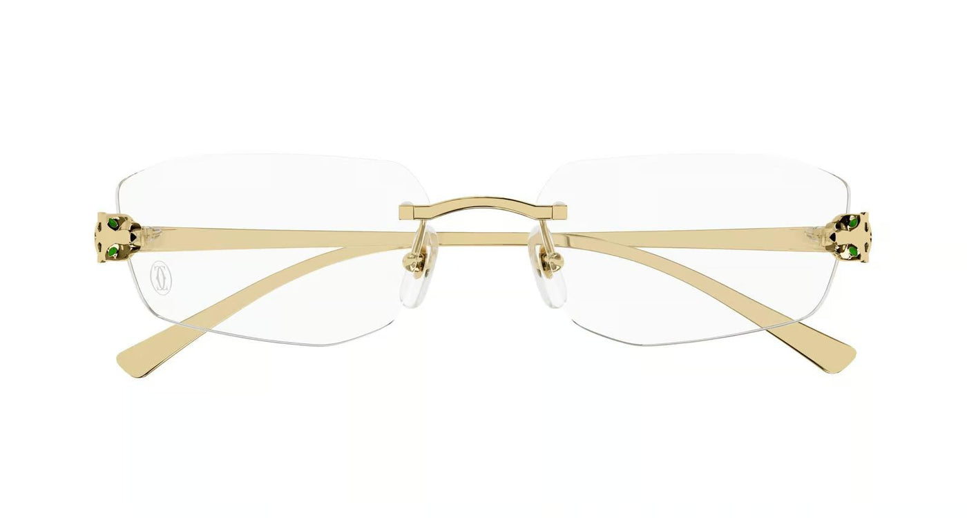 Cartier CT0494O-Eyeglasses-Topline Eyewear