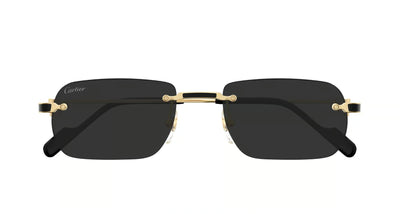 Cartier CT0498S-Sunglasses-