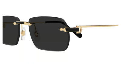 Cartier CT0498S-Sunglasses-