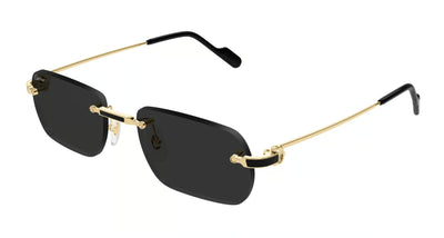 Cartier CT0498S-Sunglasses-Gold-Grey-