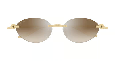 Cartier CT0504S-Sunglasses-Topline Eyewear
