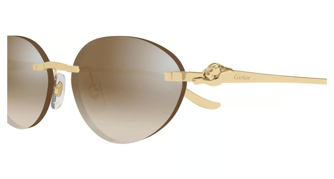 Cartier CT0504S-Sunglasses-Topline Eyewear