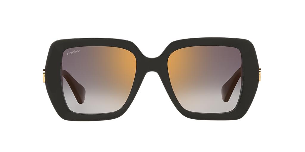 Cartier CT0507S-Sunglasses-Topline Eyewear