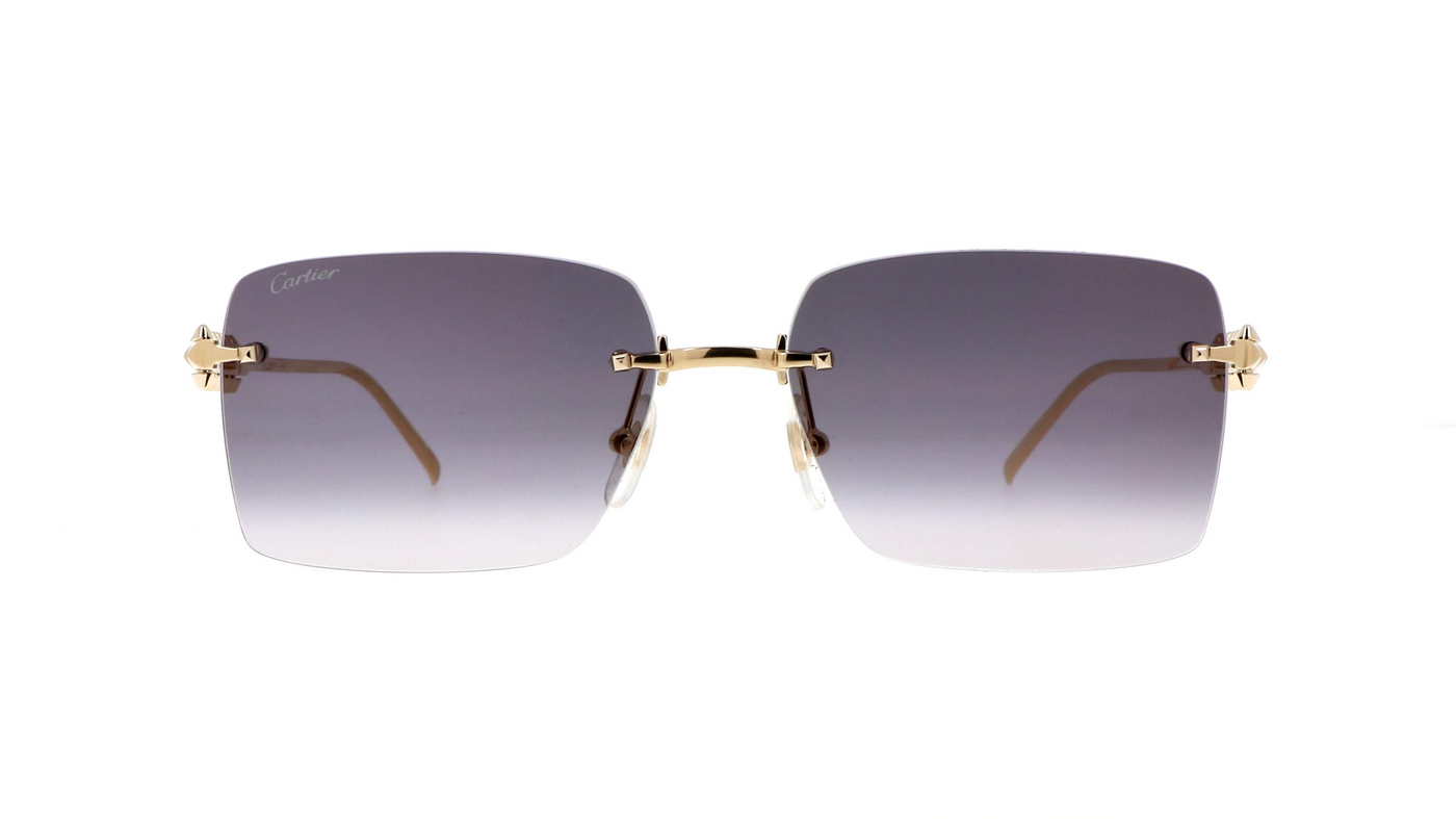 Cartier CT0545S-Sunglasses-Topline Eyewear
