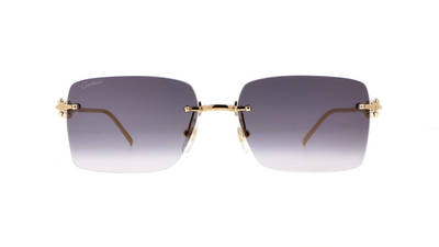 Cartier CT0545S-Sunglasses-Topline Eyewear