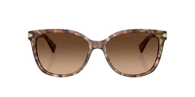 Coach HC8132-Sunglasses-Topline Eyewear