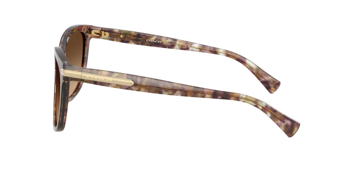 Coach HC8132-Sunglasses-Topline Eyewear