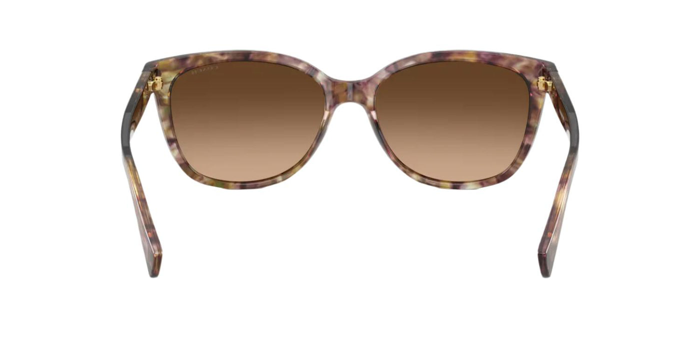 Coach HC8132-Sunglasses-Topline Eyewear