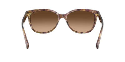 Coach HC8132-Sunglasses-Topline Eyewear