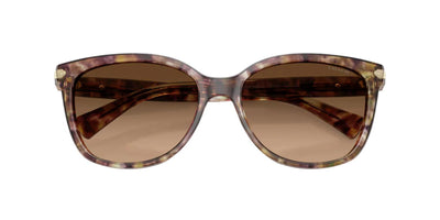 Coach HC8132-Sunglasses-Topline Eyewear